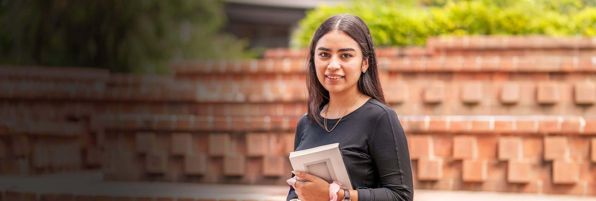 Desktop-Banner-summer